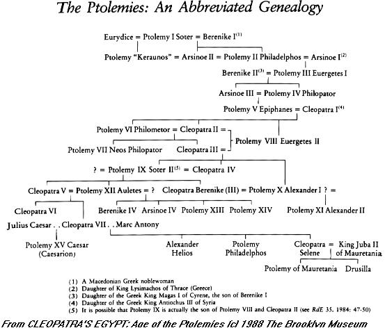 Abbreviated Ptolemaic Genealogy